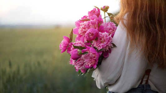 Peony Season is Back in Dubai