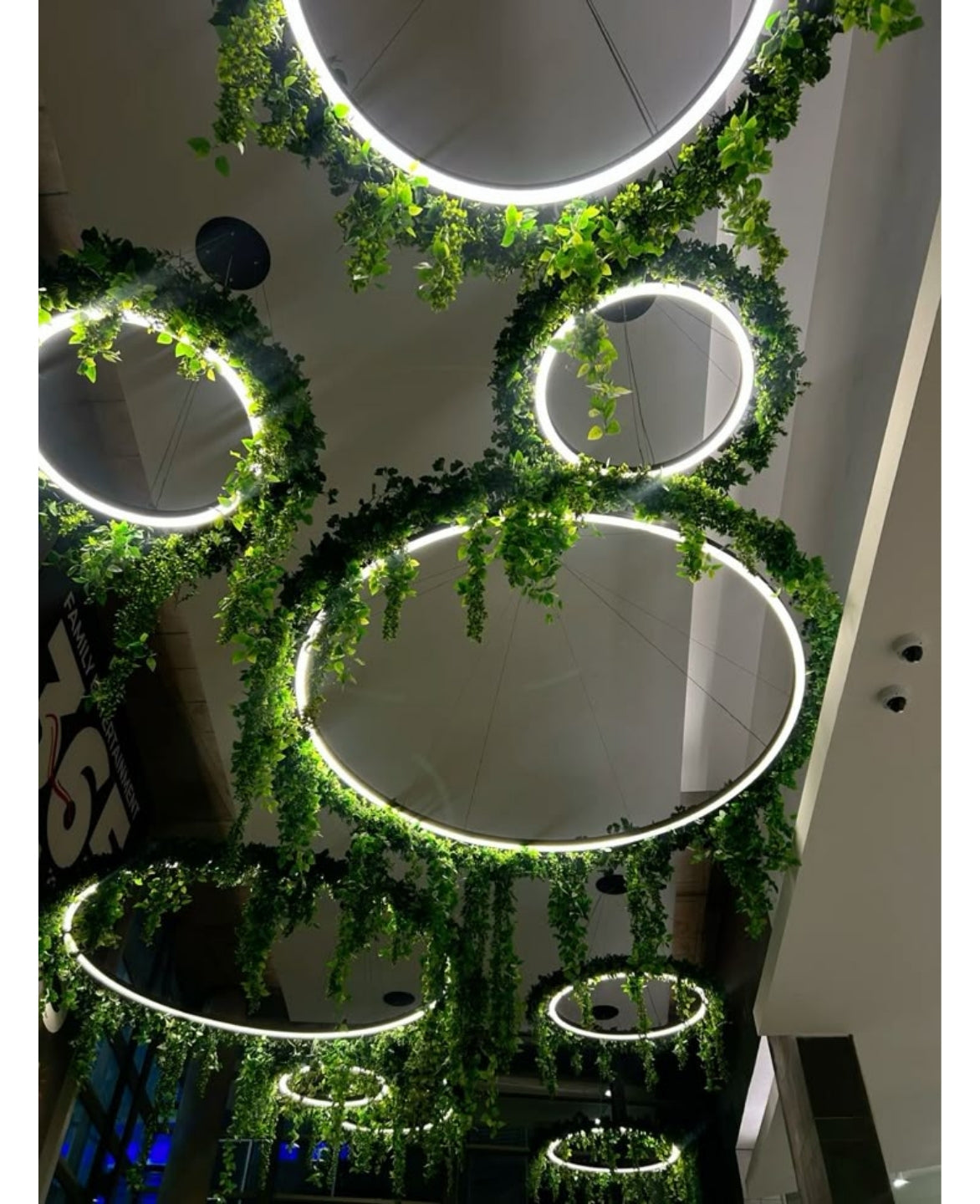Green Rings