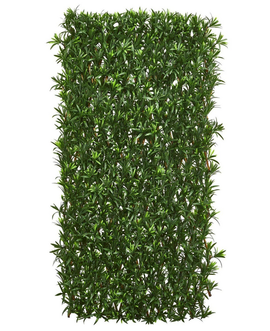 Podocarpus Expandable Fence