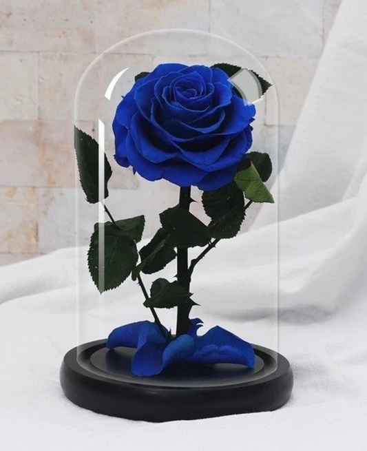 Single Blue Infinity Rose