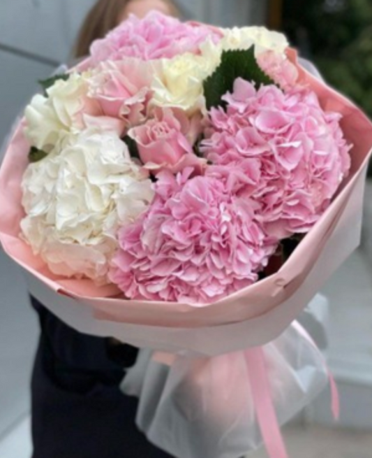 Pink and white Hydrangea