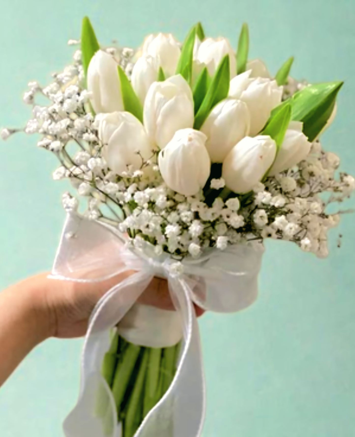 Tulip Breath