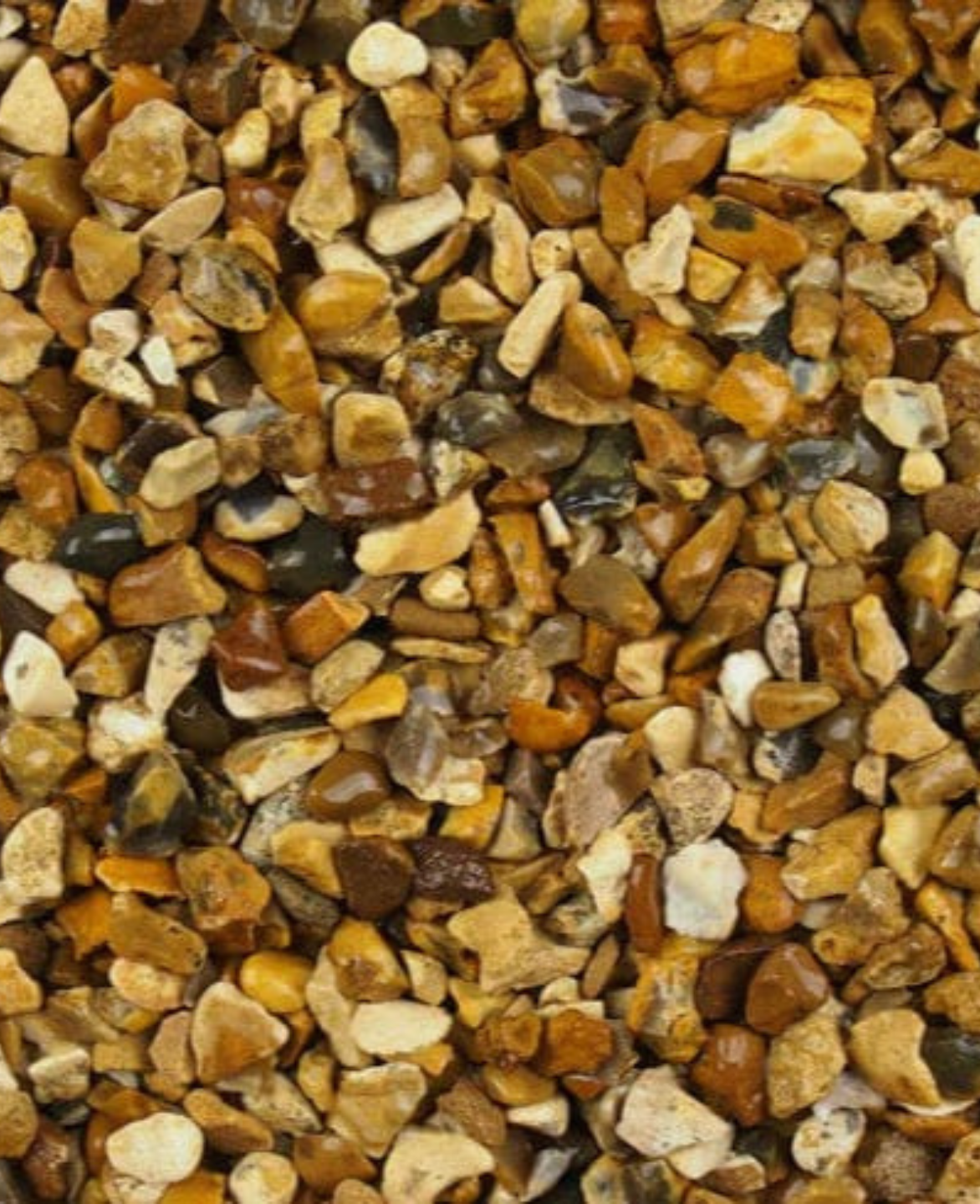 Golden Gravel