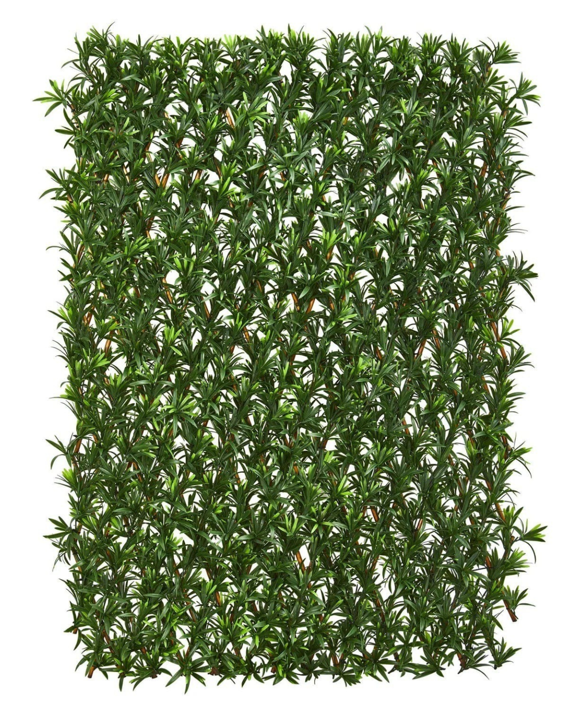 Podocarpus Expandable Fence