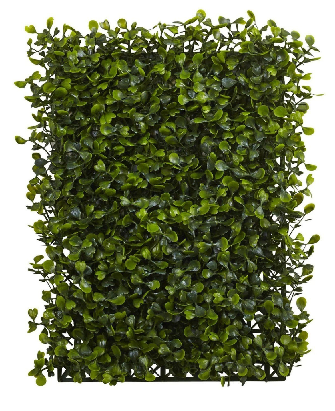 Boxwood Mat
