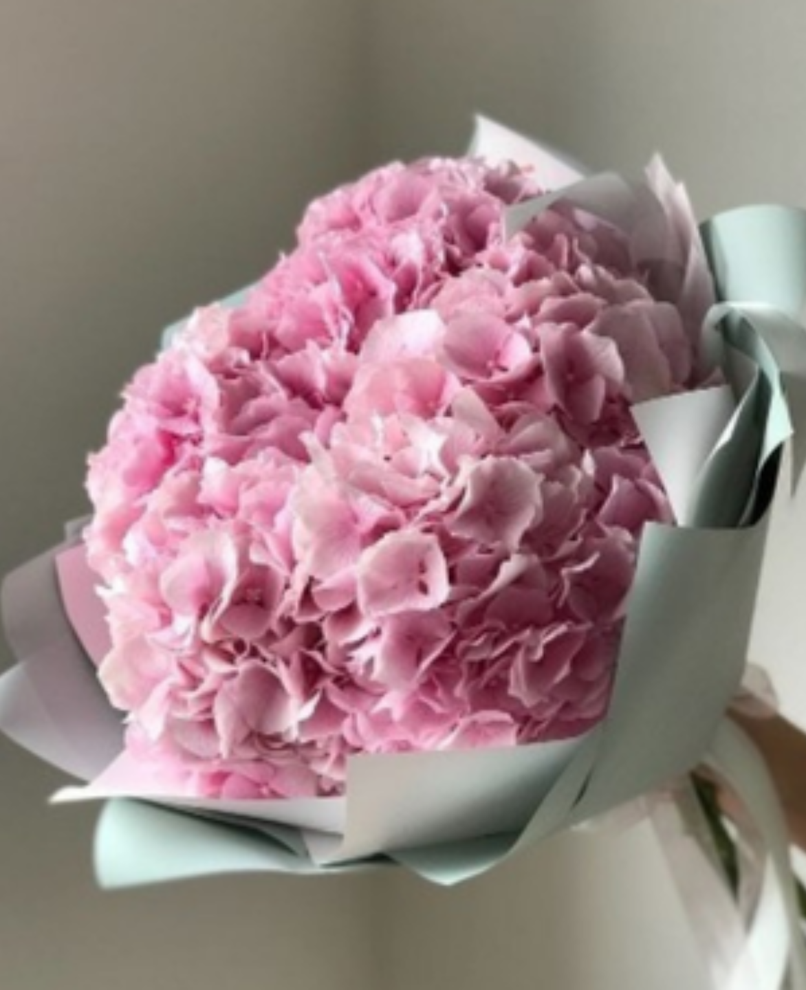 Lovely Pink
