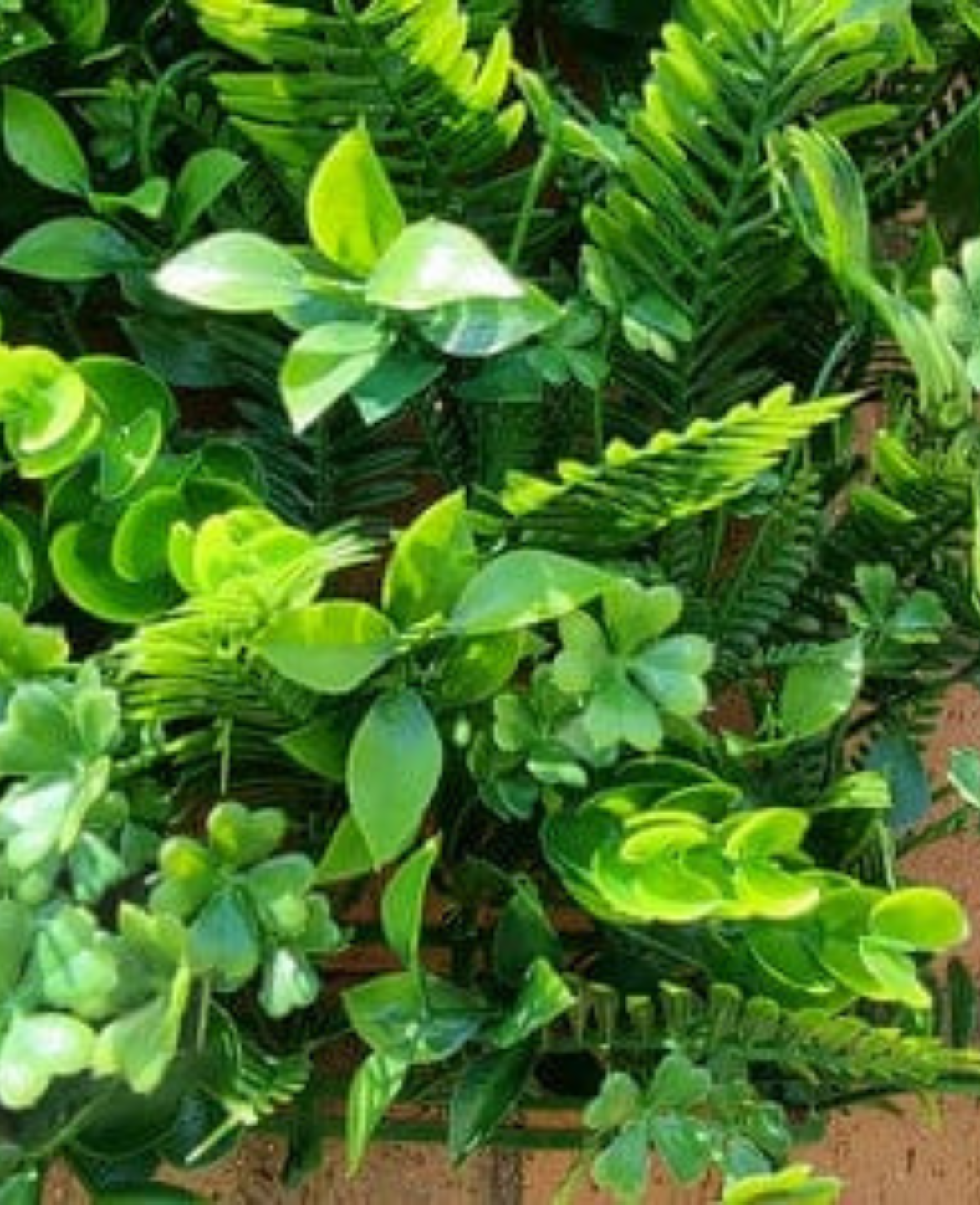 Artificial Tropical Hedge