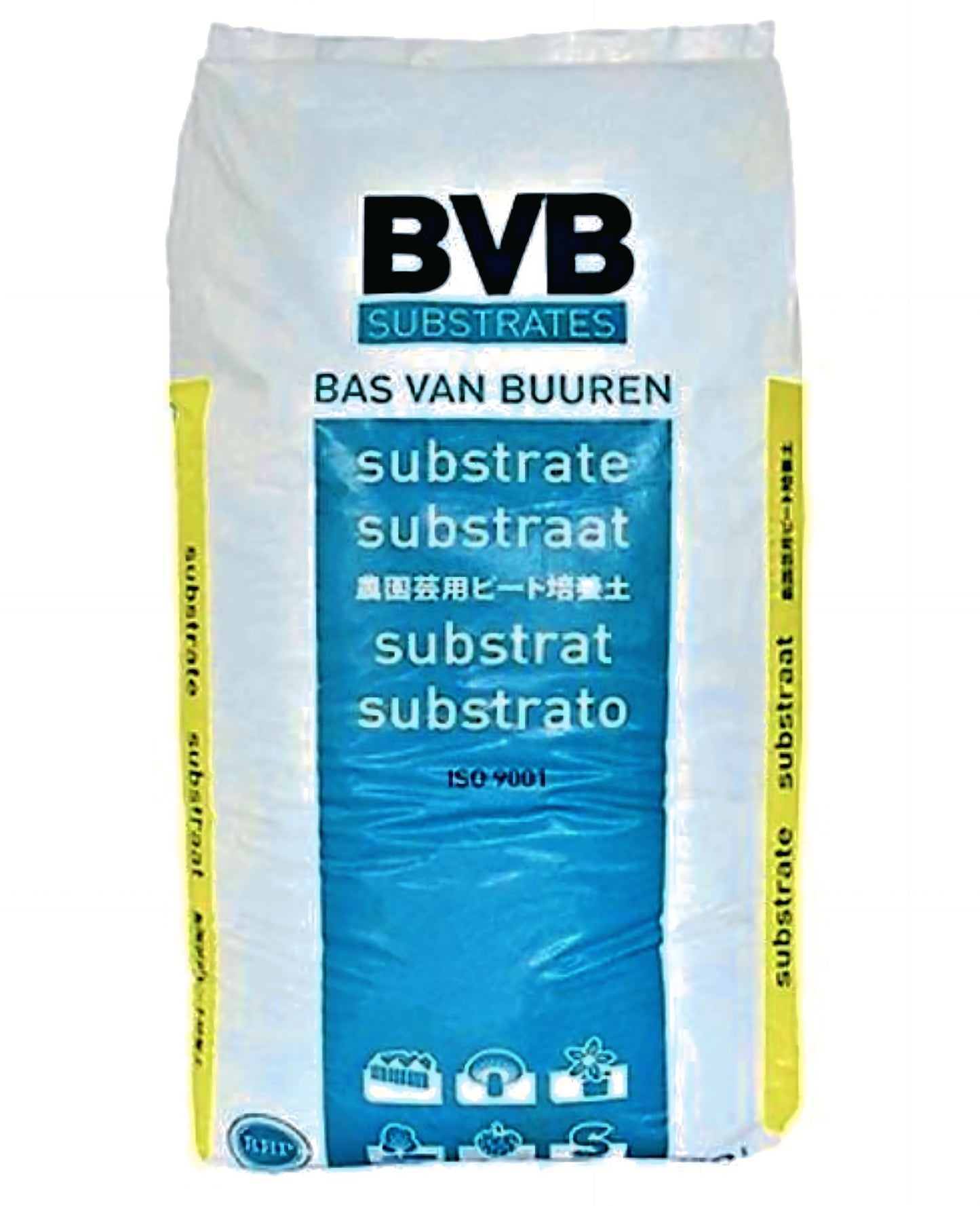 BVB