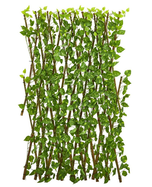Pothos Expandable Fence