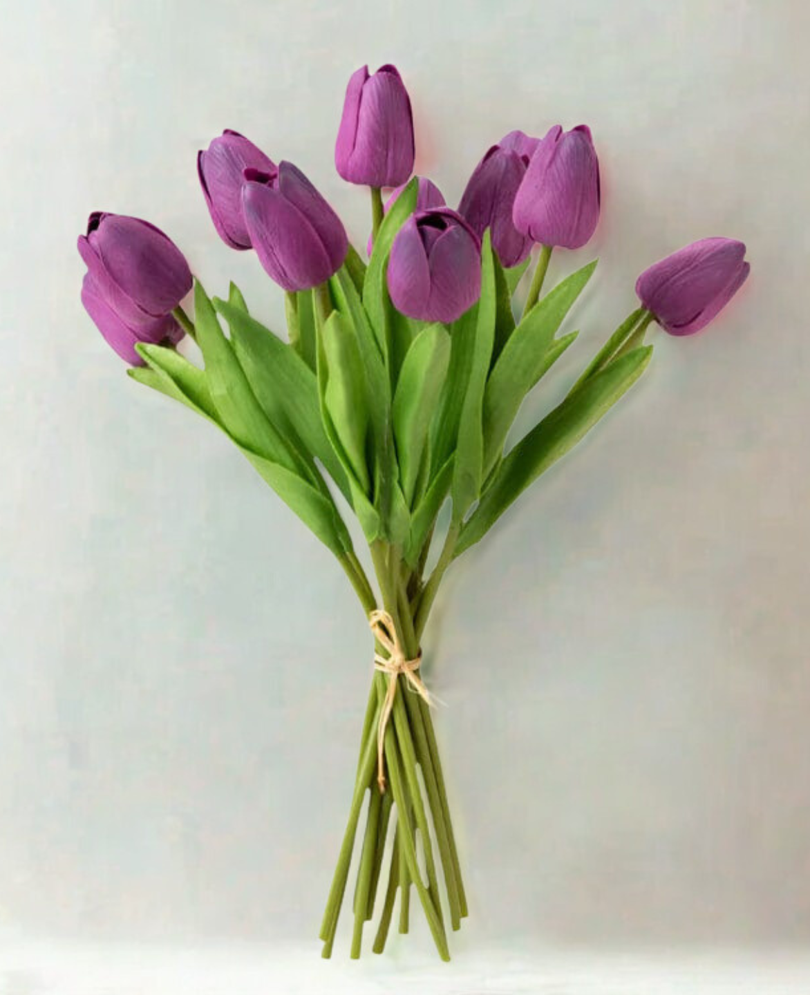 Tulip
