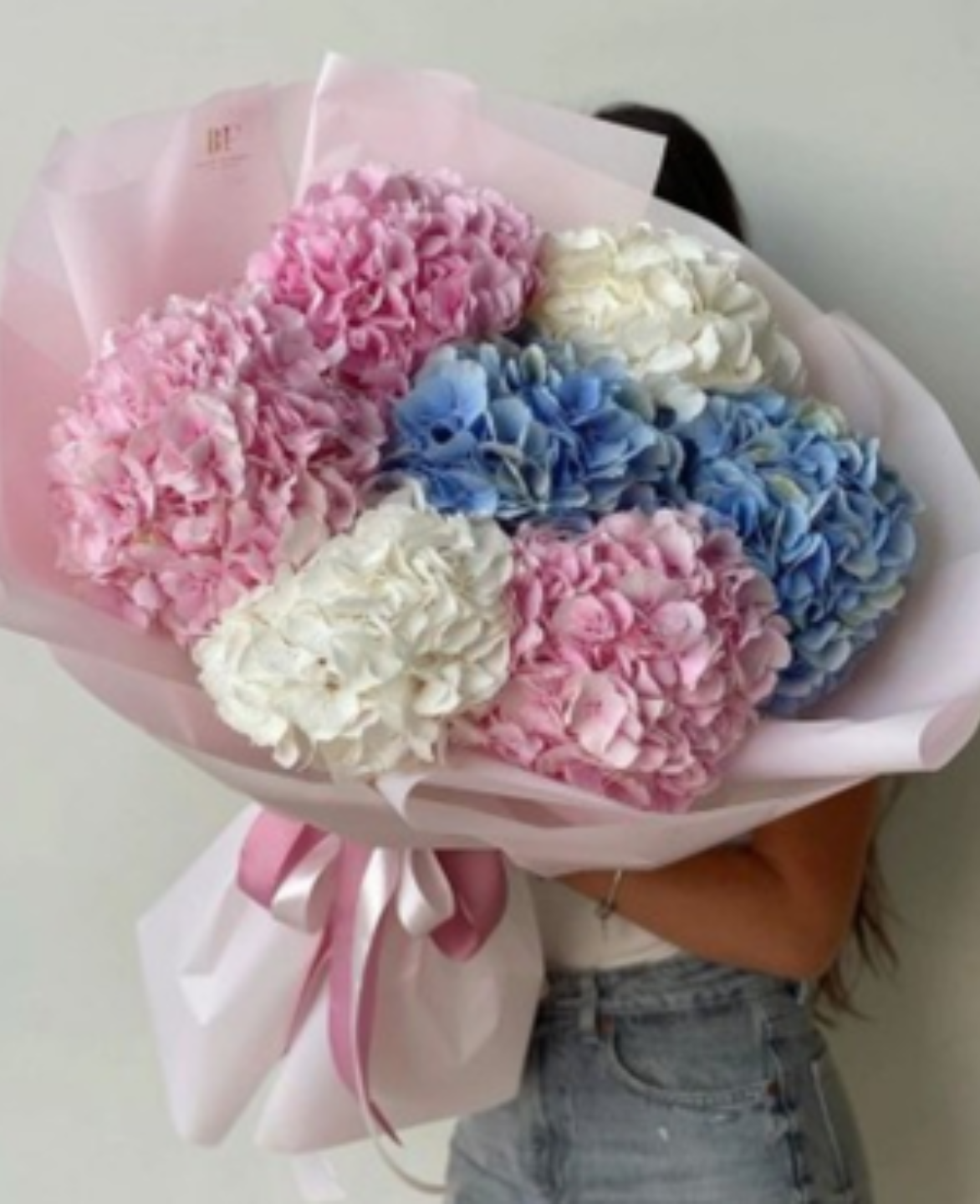 Mixed Hydrangea