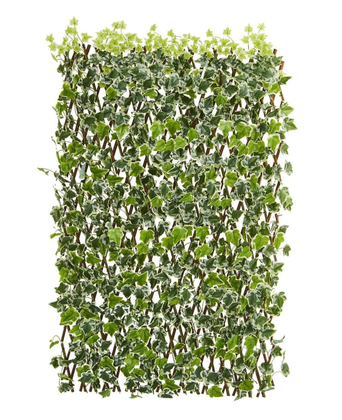 English Ivy Expandable Fence
