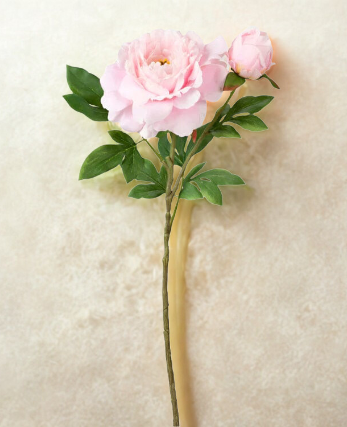 Peony