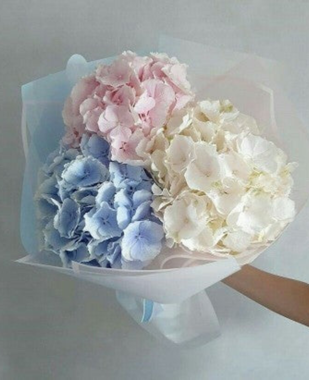 3 in One (Hydrangea Bouquet)