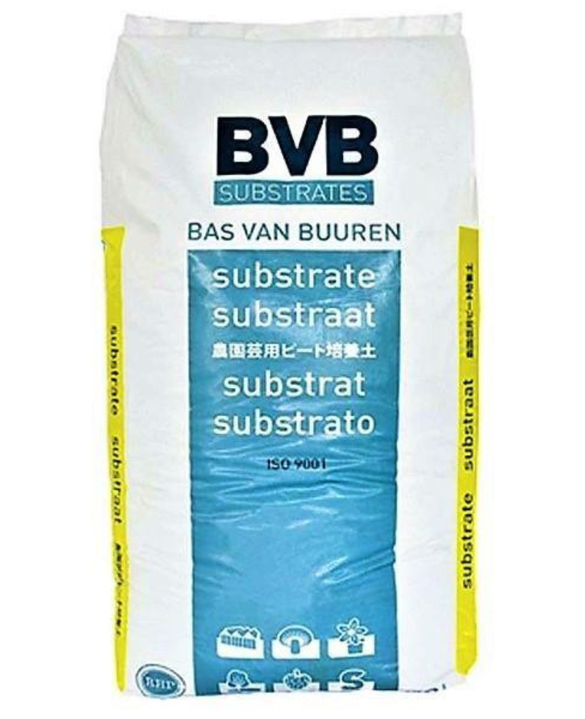 BVB