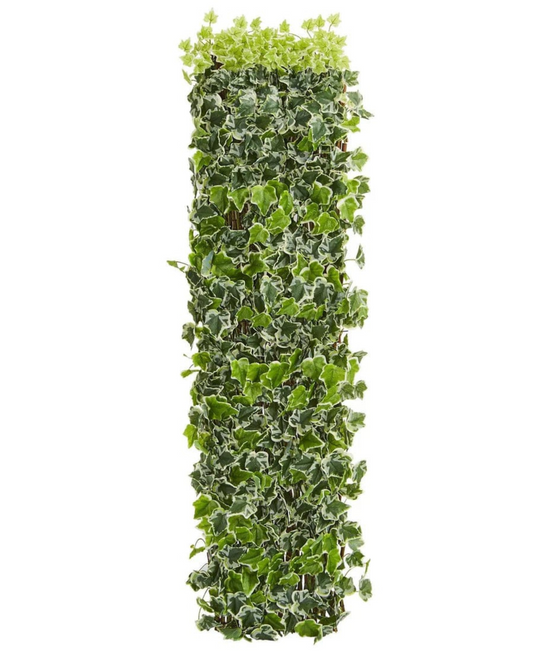 English Ivy Expandable Fence