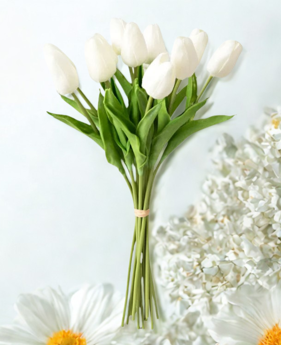 Tulip