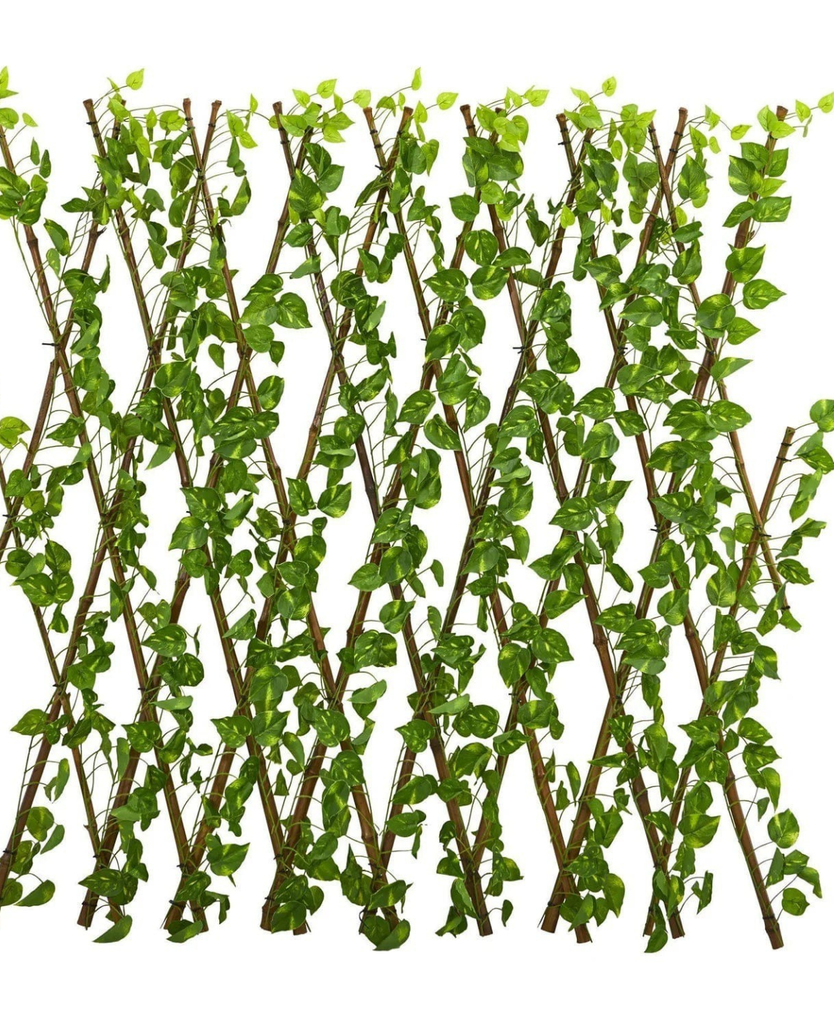 Pothos Expandable Fence