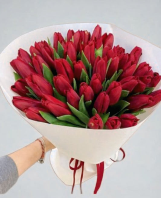 Red Tulip