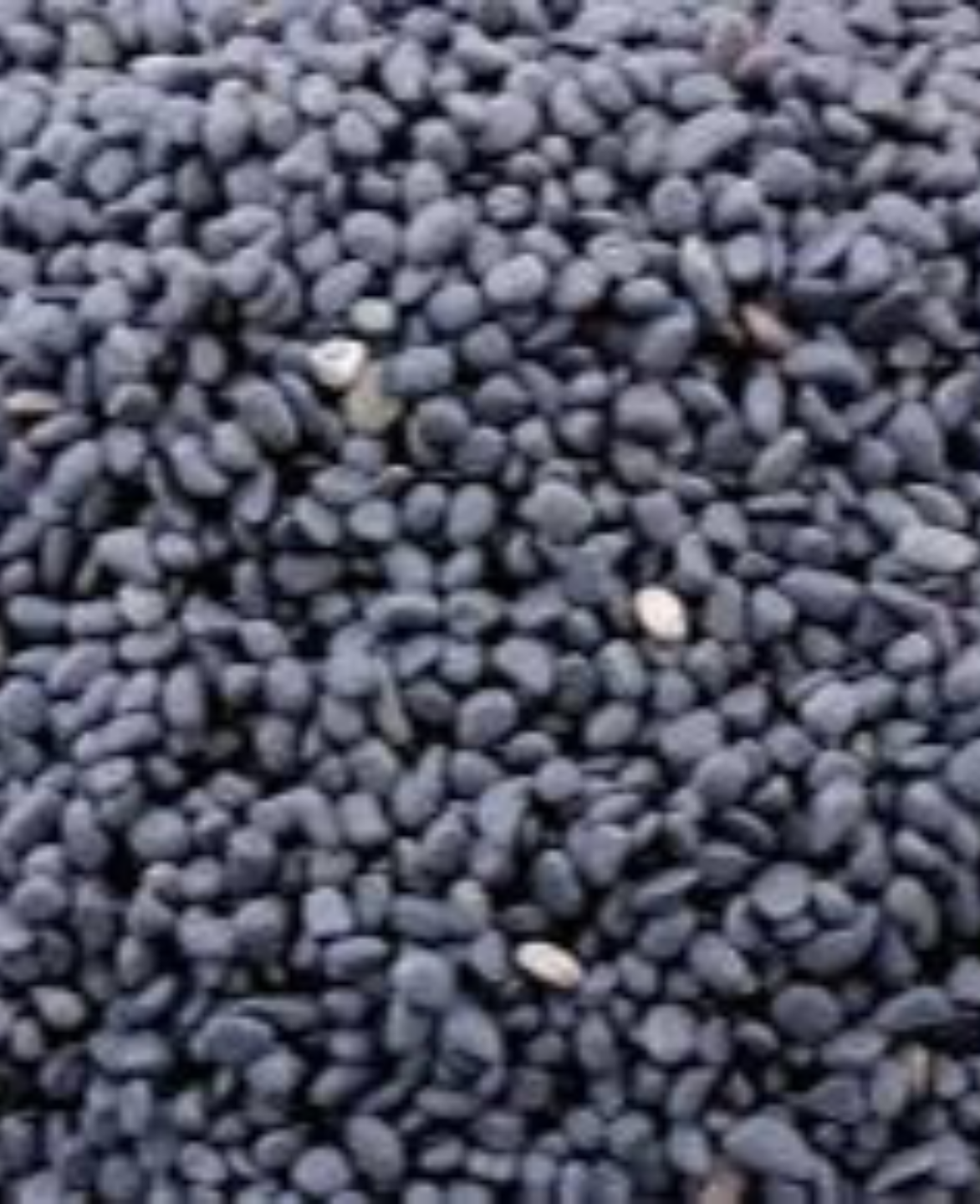 River Pebbles, Black