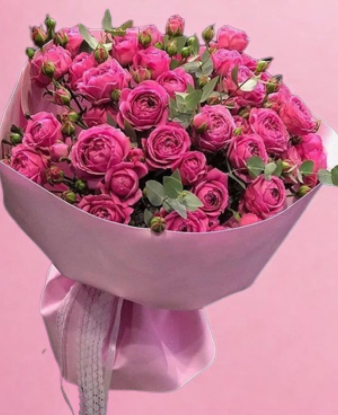 Pink Peony
