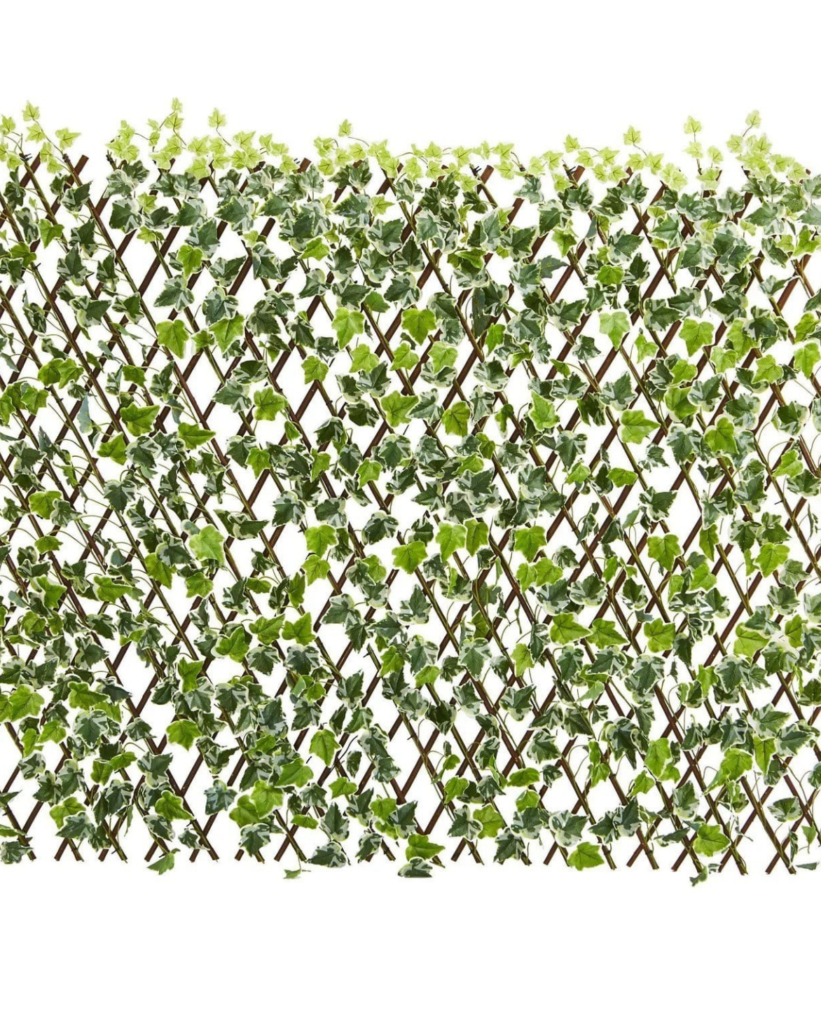 English Ivy Expandable Fence