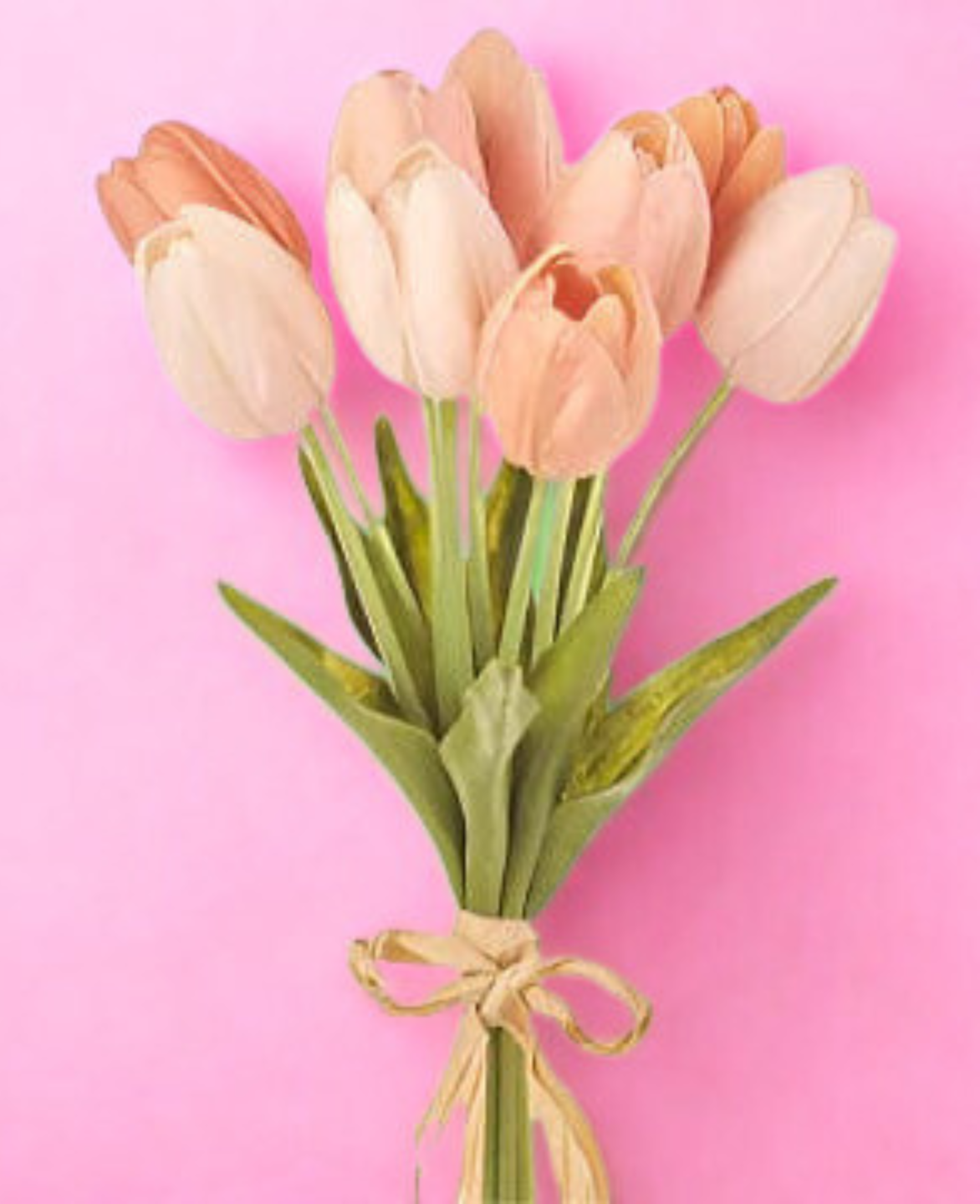 Tulip