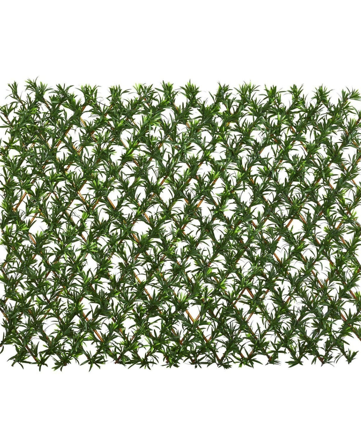 Podocarpus Expandable Fence