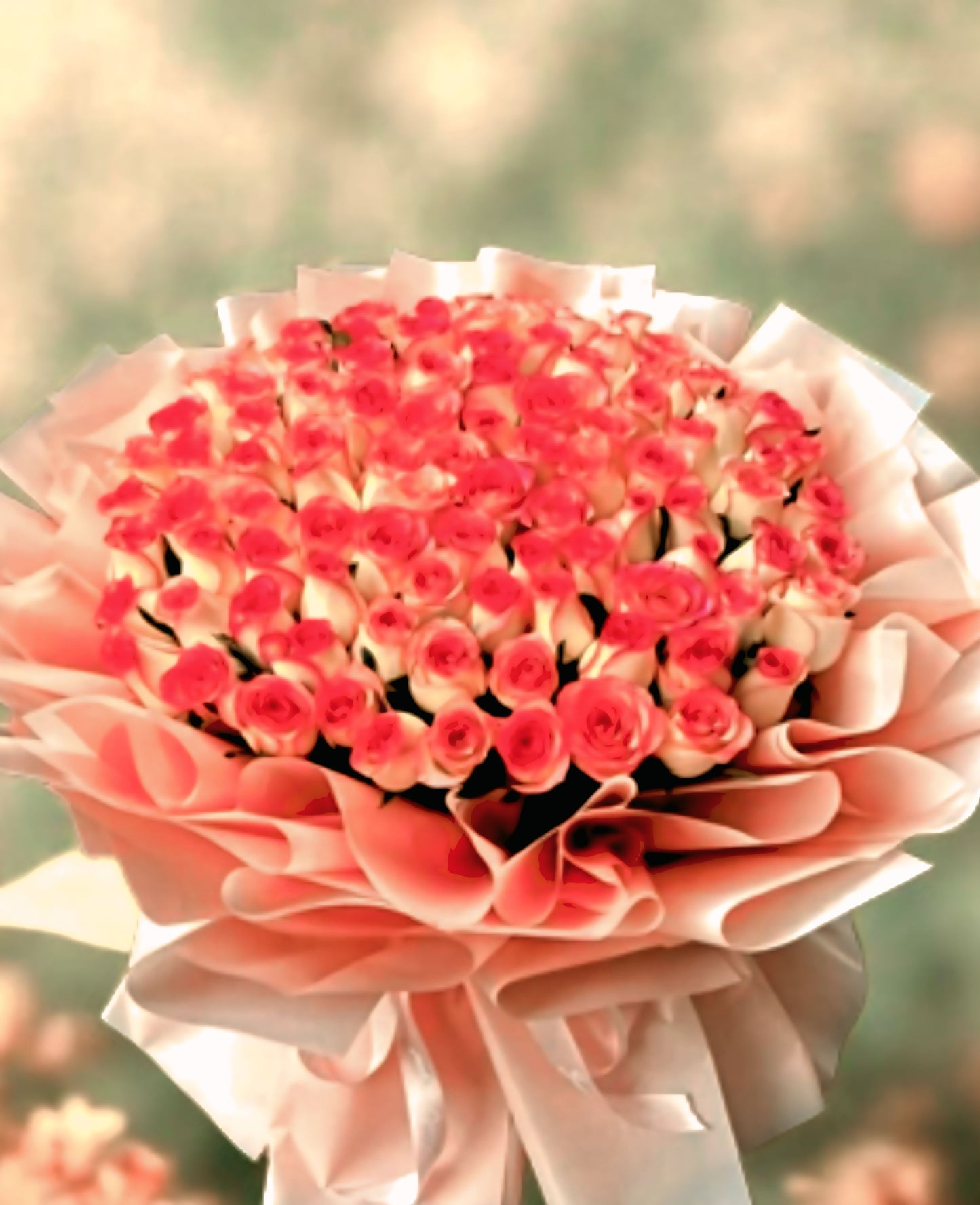 Pink Flush