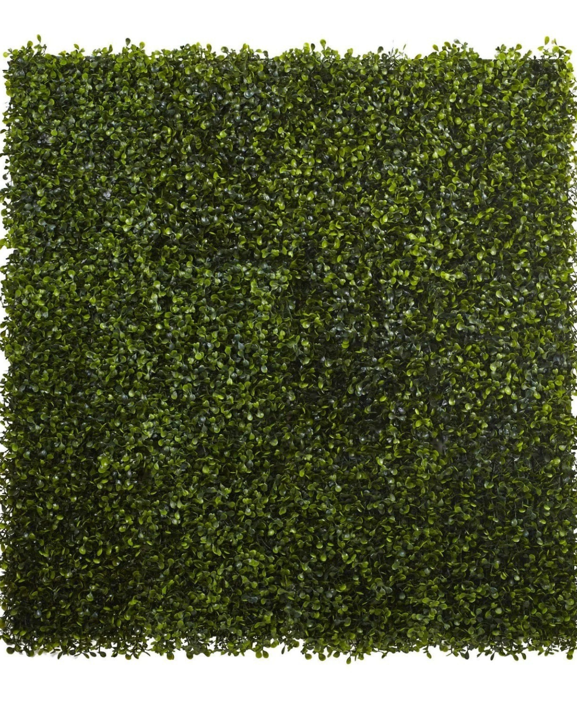 Boxwood Mat