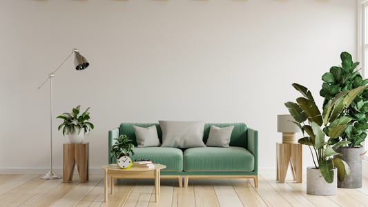 How to Choose Plants for the Home
