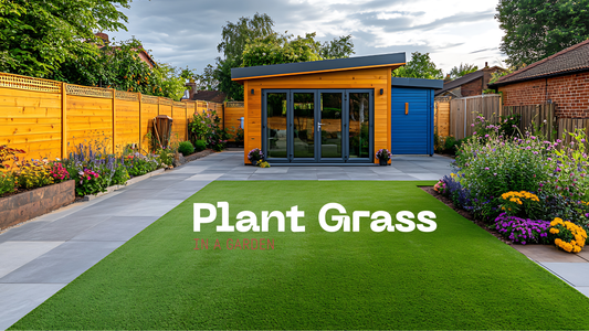 How to Plant Grass in a Garden