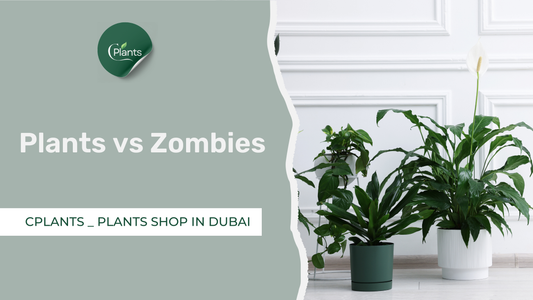 Plants vs Zombies