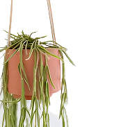 Clay hanging pot