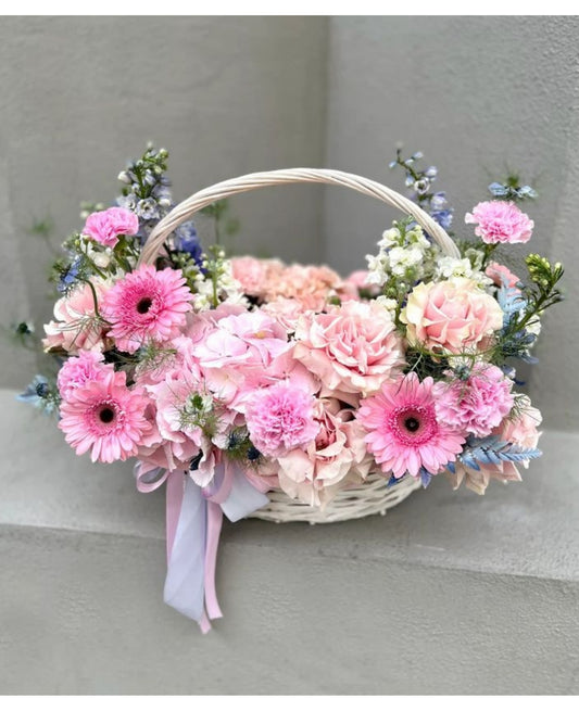 Pink Garbera
