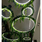 Green Rings