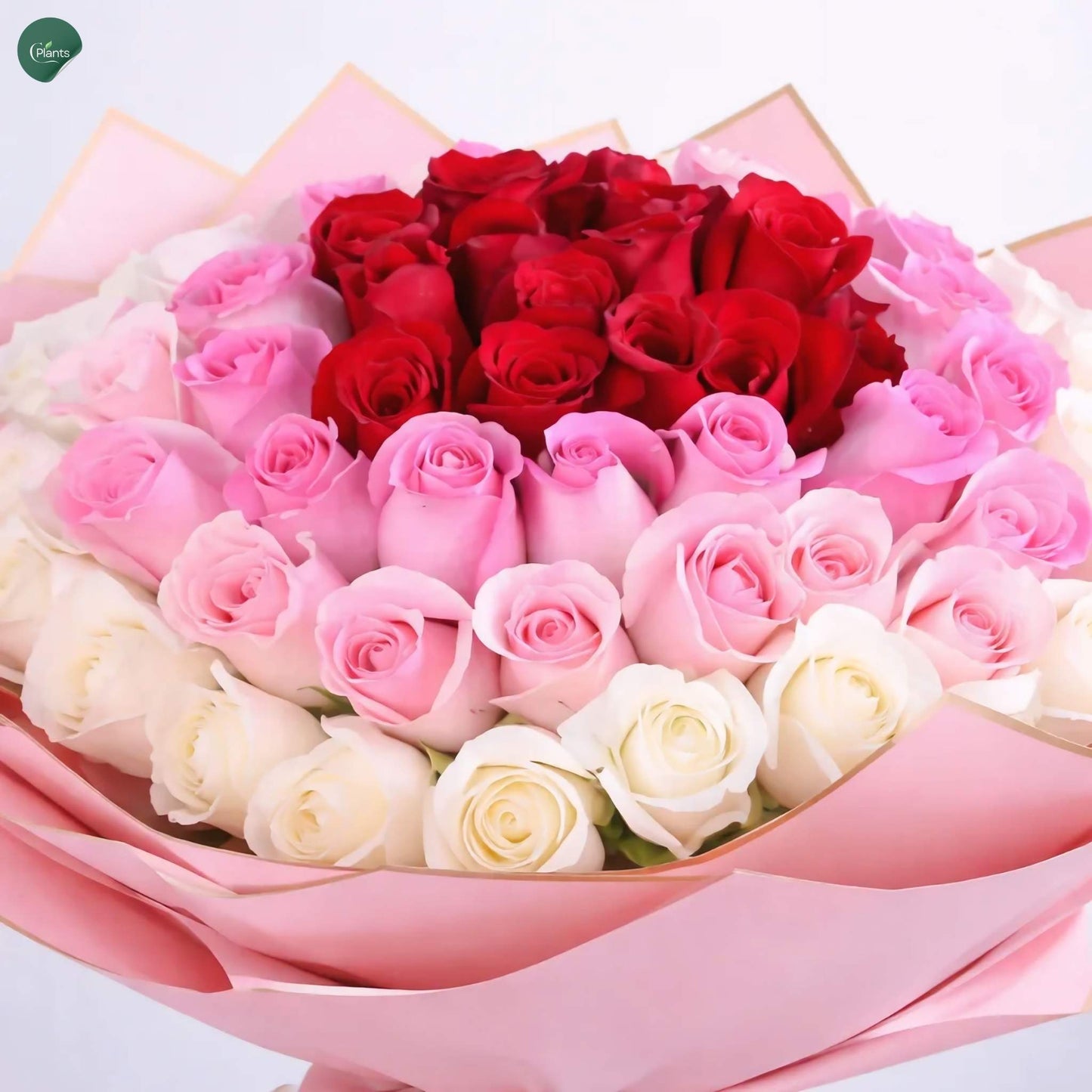 luxury Valentine rose bouquet 101 stems