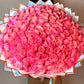 101 Pink