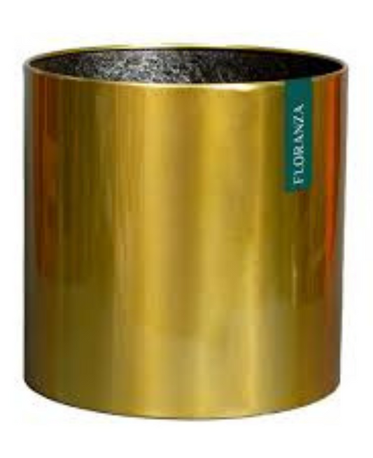 Stainless Steel Gold