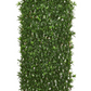 Podocarpus Expandable Fence
