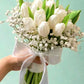 Tulip Breath