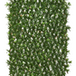 Podocarpus Expandable Fence