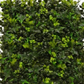Artificial Ivy Bush