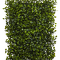 Boxwood Mat