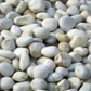 River Pebbles White