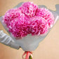 Pink Hydrangea