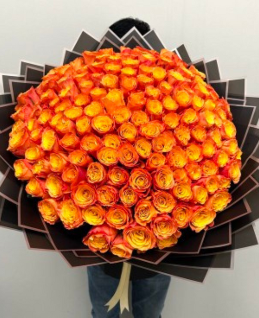 101 Orange
