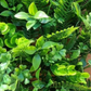 Artificial Tropical Hedge