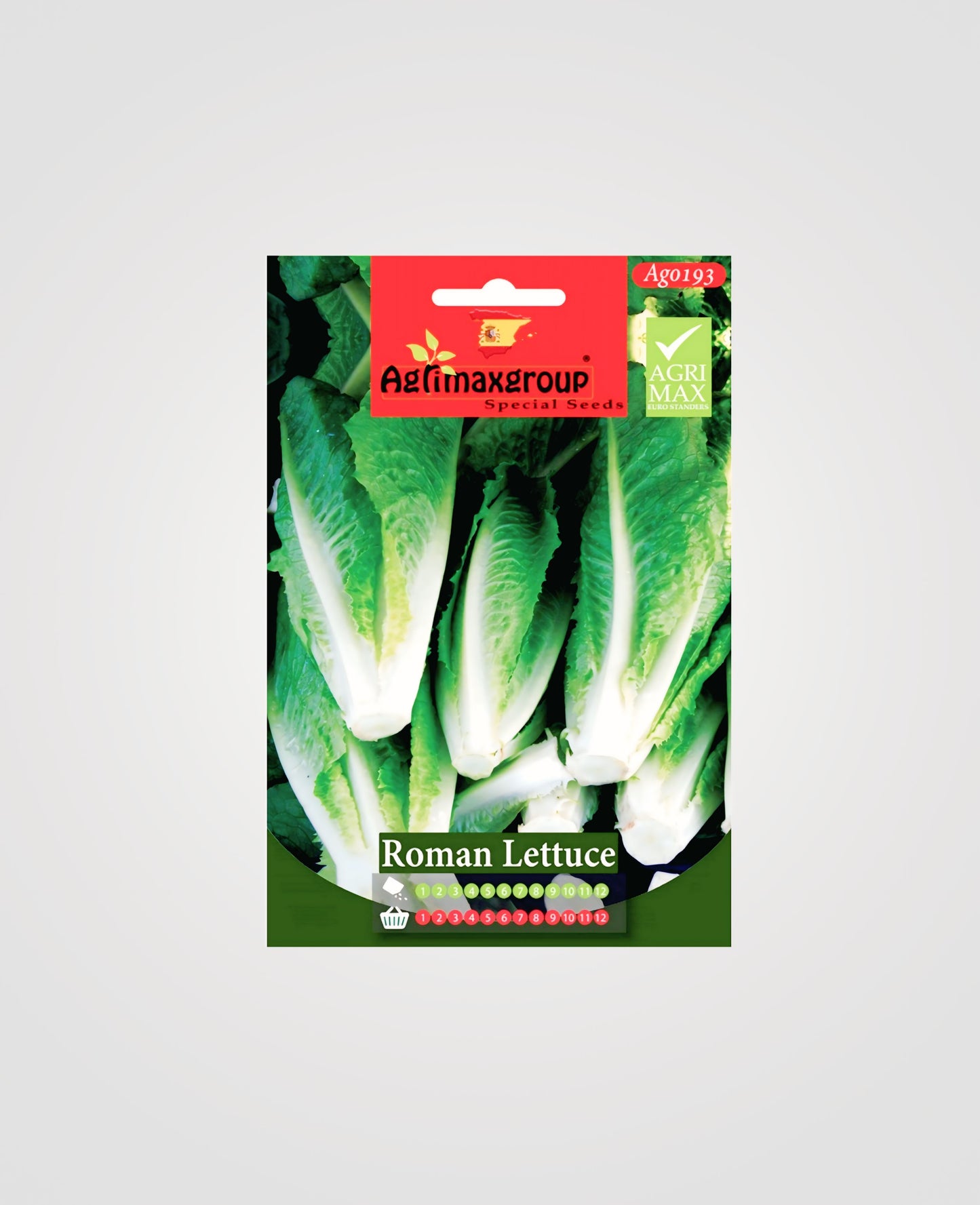 Roman Lettuce Seeds