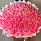 101 Pink